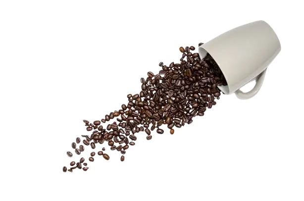 Roasted coffe of Ethiopia.